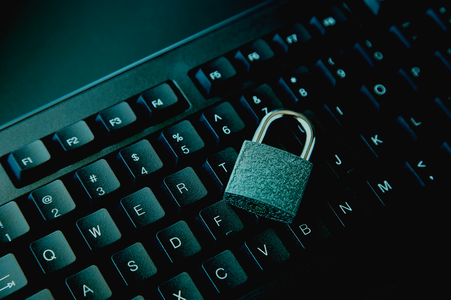 How to Ensure Security in Custom Web Applications: Key Strategies and Tools